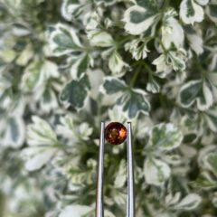 ✨ Hessonite Garnet – The Stone of Clarity, Confidence & Ancient Power