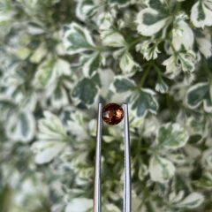 ✨ Hessonite Garnet – The Stone of Clarity, Confidence & Ancient Power