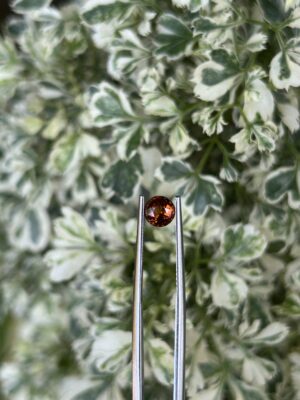 ✨ Hessonite Garnet – The Stone of Clarity, Confidence & Ancient Power