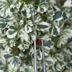 💎 Ceylorian Red Spinel – The Flame of Pure Elegance ❤️‍🔥