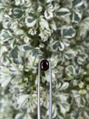 ❤️ Red Gemstone – The Stone of Passion & Power ❤️