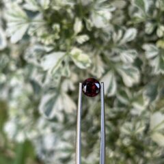 ✨ Garnet Gemstone – The Stone of Passion & Timeless Power ✨