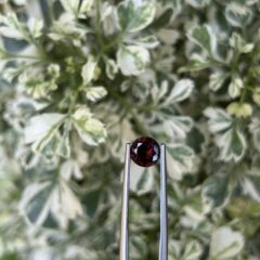 ✨ Garnet Gemstone – The Stone of Passion & Timeless Power ✨