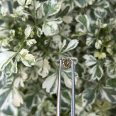 ✨ Zircon Gemstone – The Brilliance of Pure Light & Timeless Beauty ✨