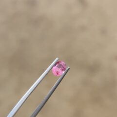 Rare Pathmaraja Gemstone CRT 65 – Natural Pink-Orange Pathmaraja Sapphire