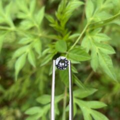 Grey Spinel – The Gem of Timeless Grace & Modern Power 💫