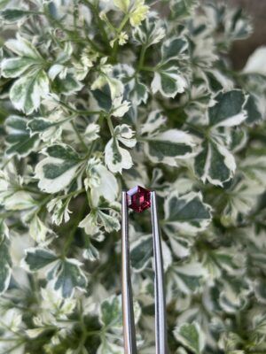 💎 Ceylorian Red Spinel – The Flame of Pure Elegance ❤️‍🔥