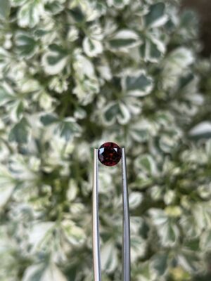 ✨ Garnet Gemstone – The Stone of Passion & Timeless Power ✨