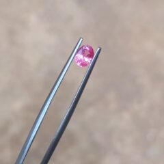 Rare Pathmaraja Gemstone CRT 65 – Natural Pink-Orange Pathmaraja Sapphire